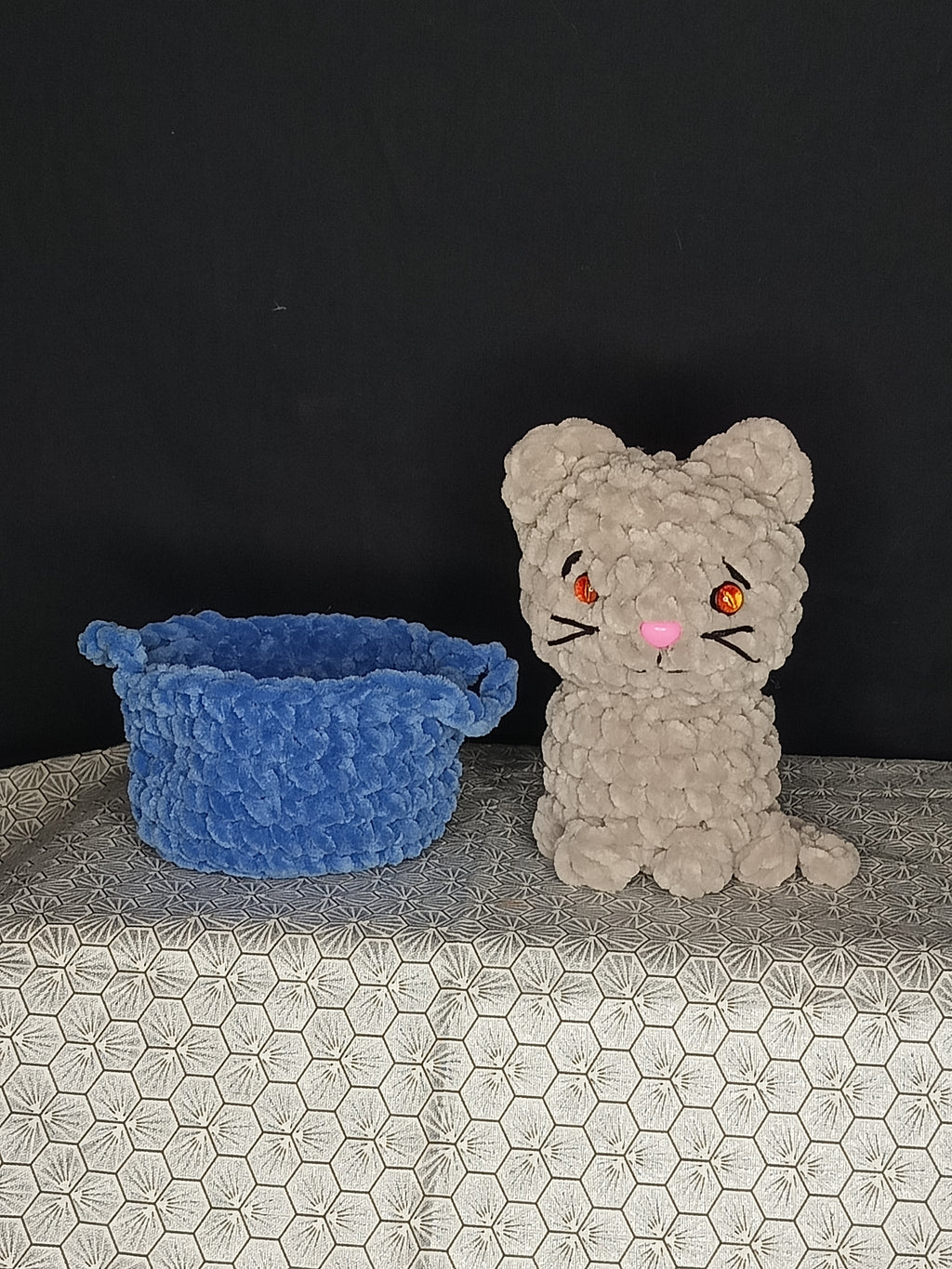 BB chat Ami dans son panier