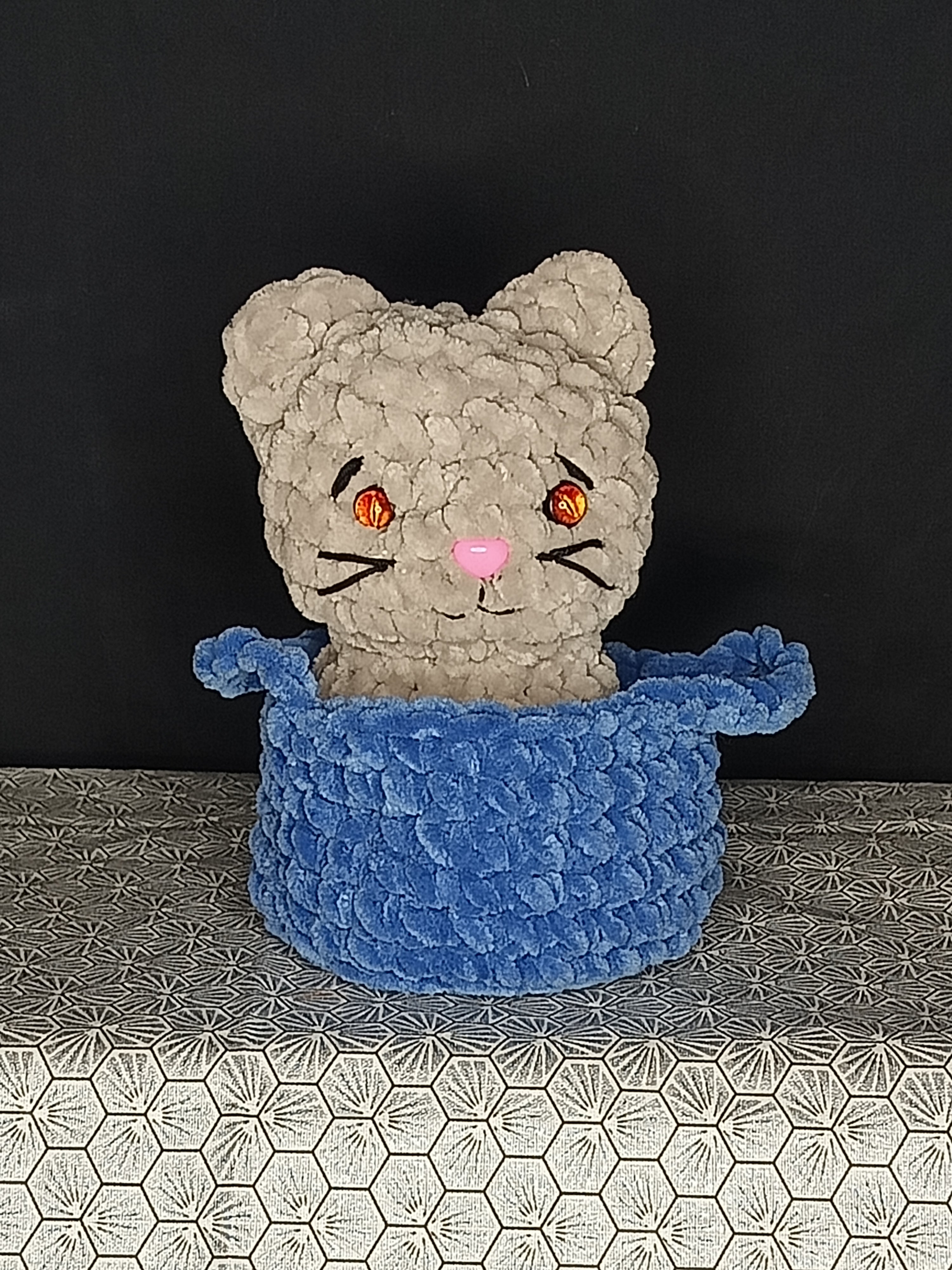 BB chat Ami dans son panier