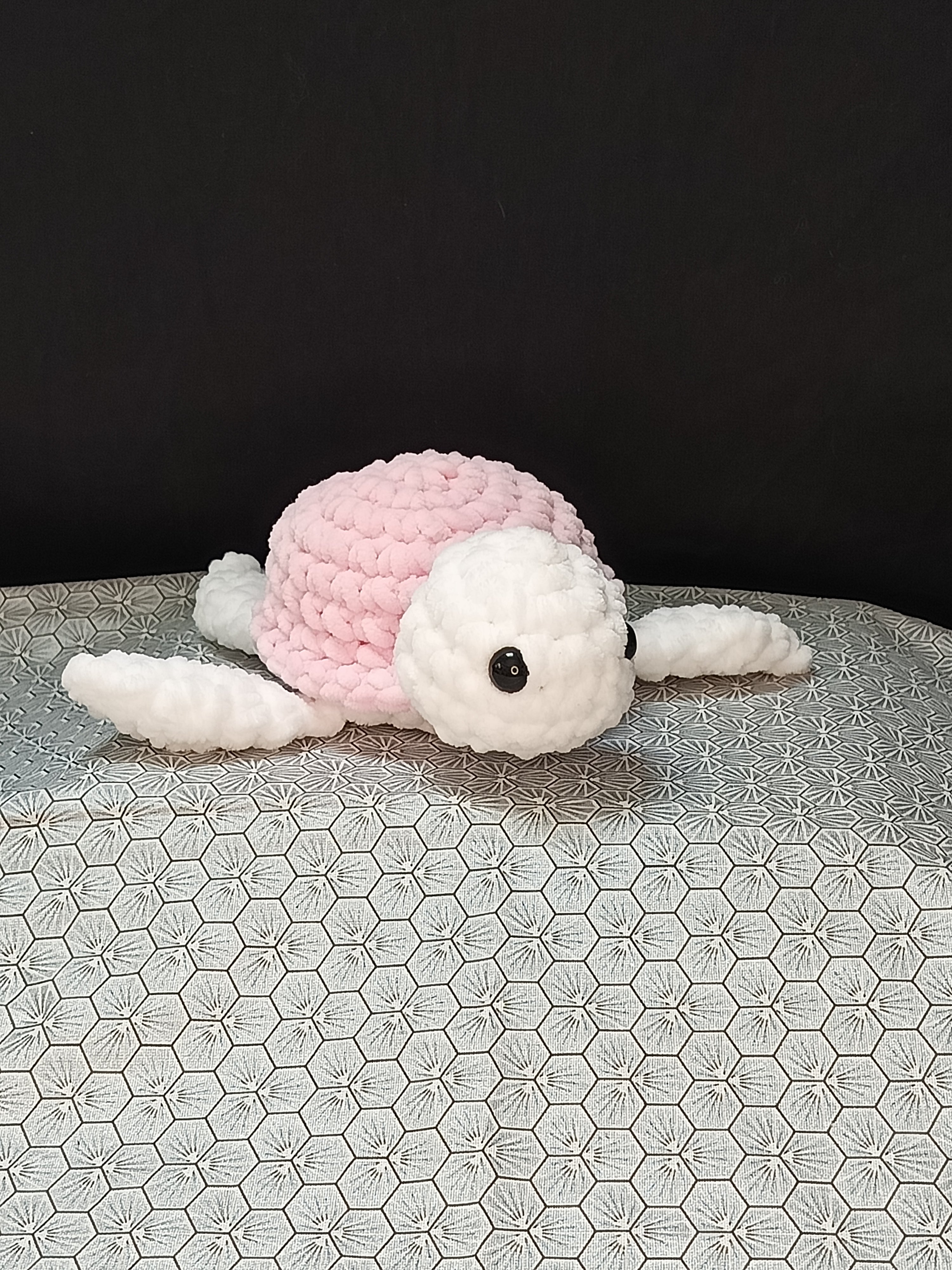 🆕Tortue Amig