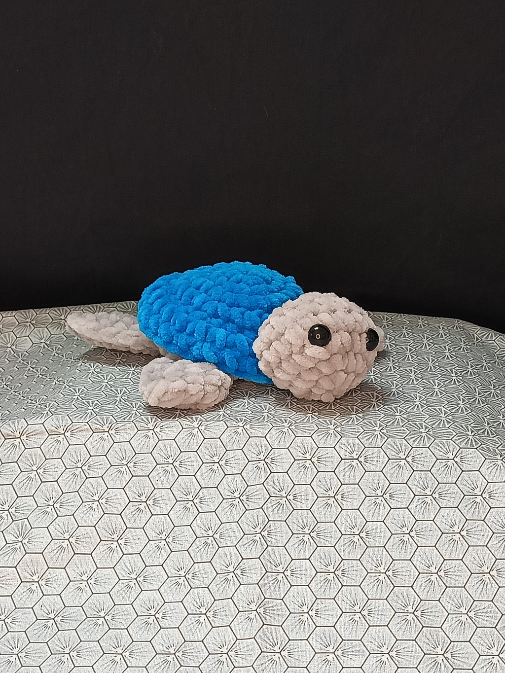 🆕Tortue Amig