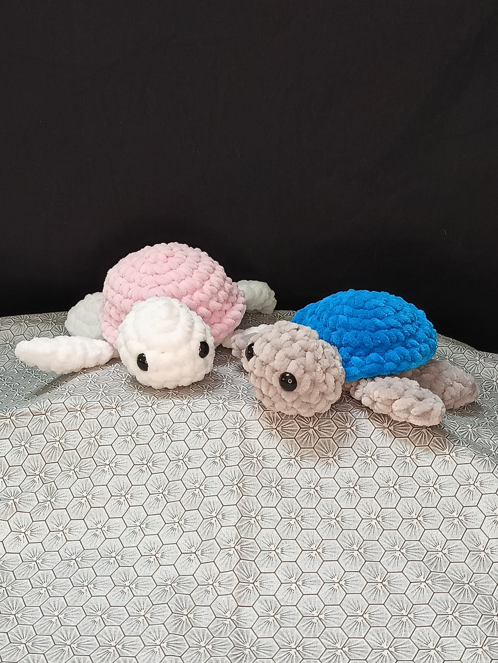 🆕Tortue Amig